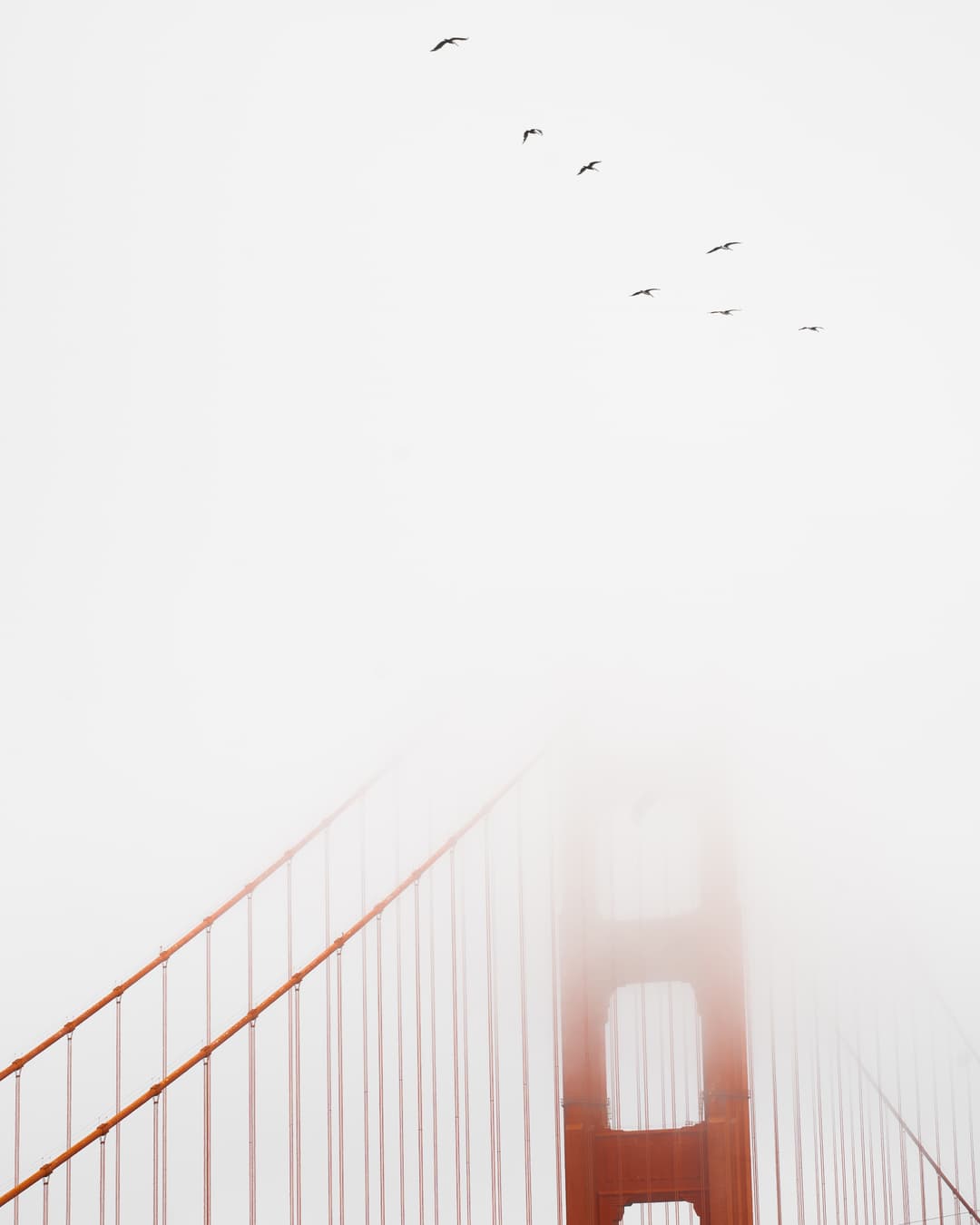 Golden Gate Bridge San Francisco 28 - Portrait & Editorial Photography by Zoé Captures Paris
